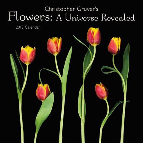 Download Flowers A Universe Revealed 2015 Wall Calendar 
