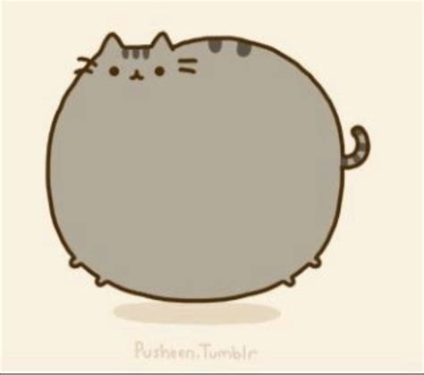 fluffypusheen (@flufyypusheen) TikTok