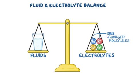 Fluid And Electrolyte Balance