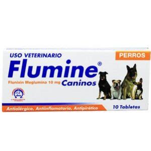 flumine-4