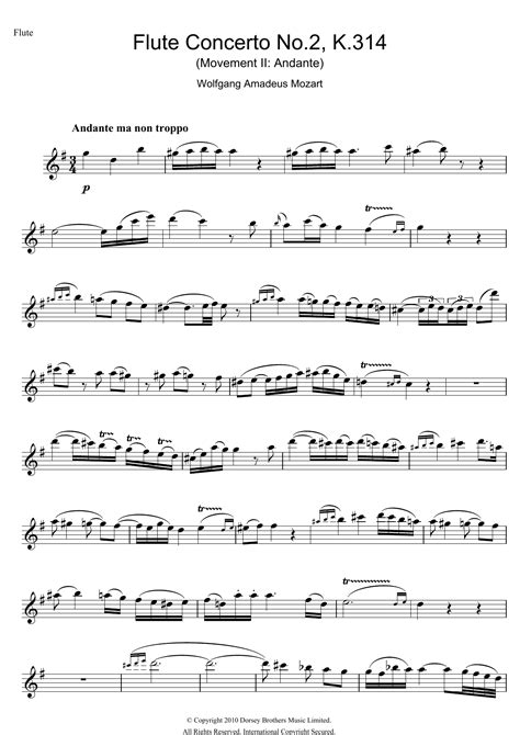 Flute Concerto