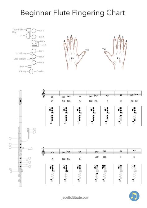 Full Download Flute Guide For Beginners 