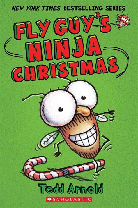 fly guy s ninja christmas fly guy 16