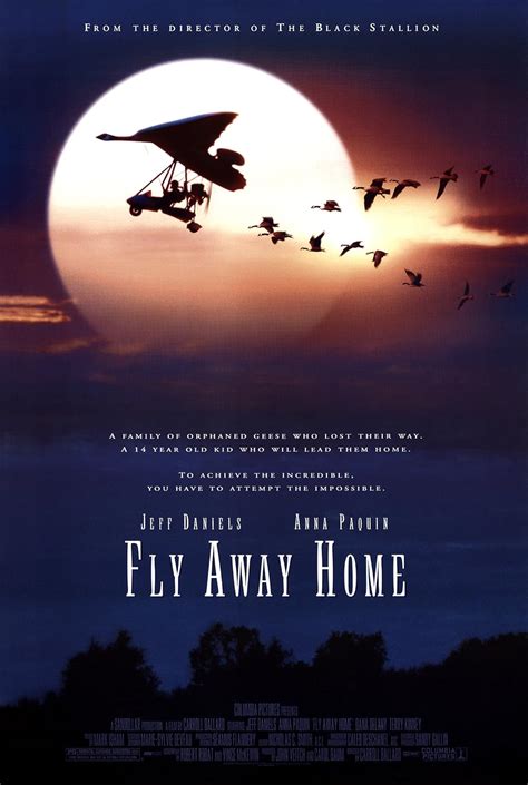 Fly Home Away