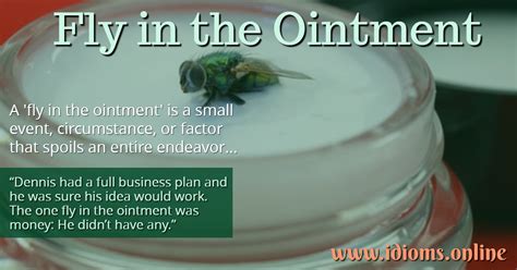 Fly In The Ointment