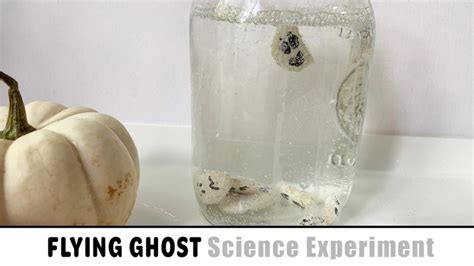 Flying Ghosts Science Experiment With Baking Soda And Lima Bean Science Experiment - Lima Bean Science Experiment