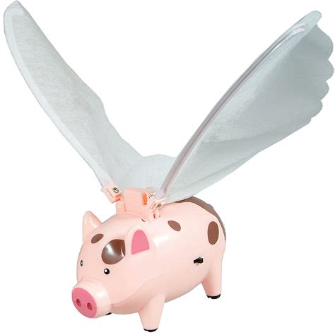 flying pig for physics lab
