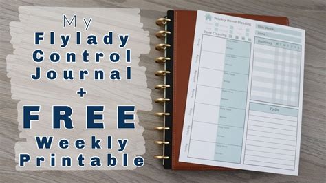 Read Online Flylady Moving Control Journal 