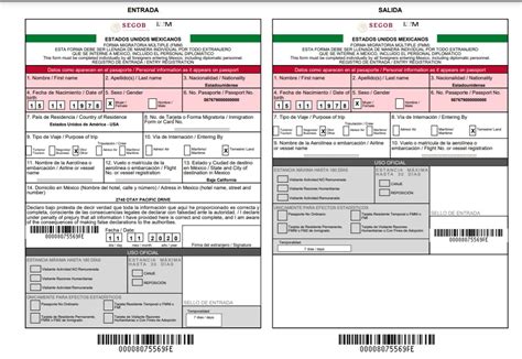 Fmm Full Form