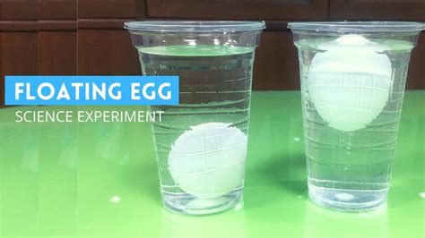 Folded Egg And Floating Egg Science Projects For Floating Egg Science Experiment - Floating Egg Science Experiment