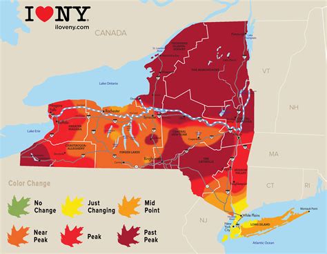 foliage new york map