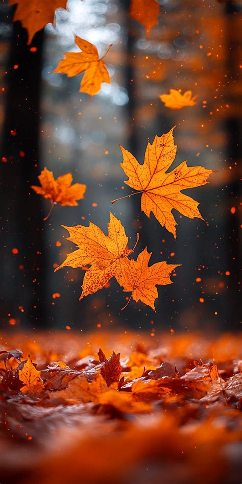 fond of | FOND i vi gii t g Tm