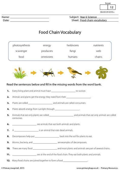 Food Chain Activities 4th Grade   Producers And Consumers Food Chain 4th Grade Science - Food Chain Activities 4th Grade