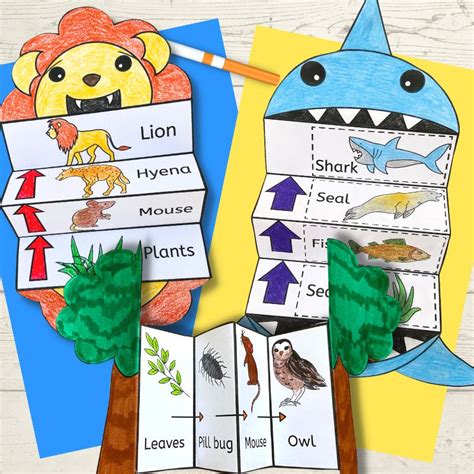 Food Chain Activity