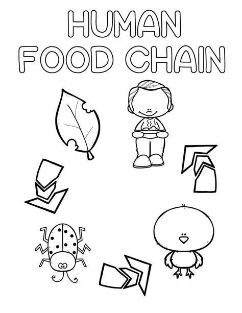 Food Chain Coloring Pages Coloring Nation Food Chain Coloring Sheets - Food Chain Coloring Sheets