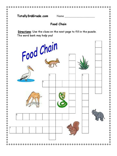 Food Chain For Grade 3 Worksheets Kiddy Math Food Chain 3rd Grade Worksheet - Food Chain 3rd Grade Worksheet