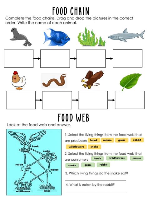 Food Chain Interactive Exercise Live Worksheets Animals Food Chain Worksheet - Animals Food Chain Worksheet