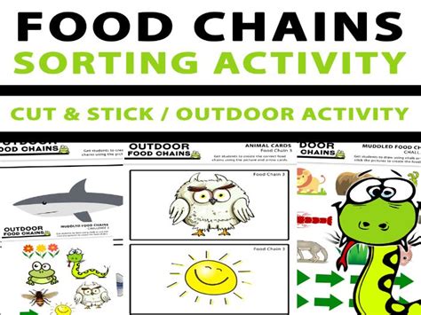 Food Chain Sorting Activity Primary Resources Twinkl Animals Food Chain Worksheet - Animals Food Chain Worksheet