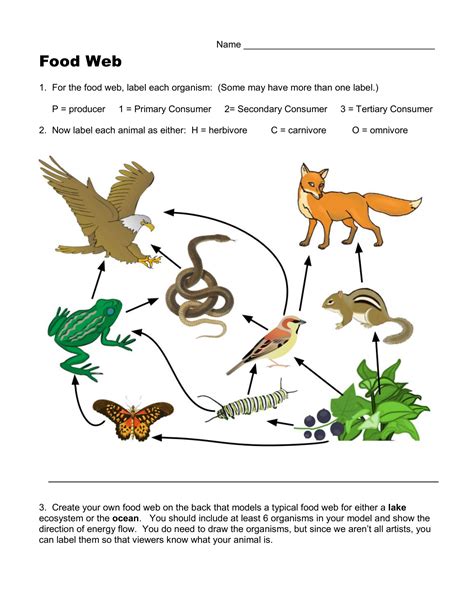 Food Chain Web Lessons Worksheets And Activities Teacherplanet Food Chain Activities And Lesson Plans - Food Chain Activities And Lesson Plans