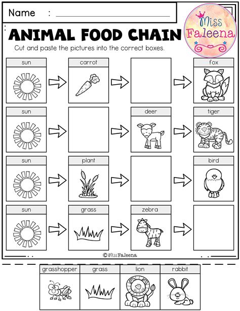 Food Chain Worksheet 1st Grade Worksheet Resume Template Food Chain 1st Grade - Food Chain 1st Grade