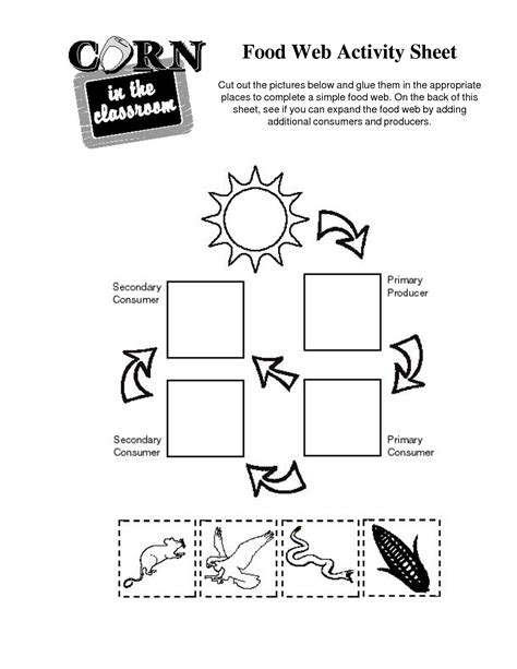 Food Chain Worksheets Free Printables Science Facts 5th Grade Food Chain Worksheet - 5th Grade Food Chain Worksheet