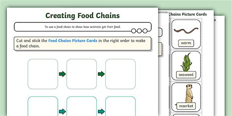 Food Chains Activities Learning Resources