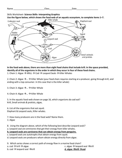 Food Chains And Webs Worksheets K5 Learning Animals Food Chain Worksheet - Animals Food Chain Worksheet