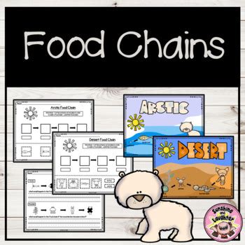 Food Chains By Sunshine And Laughter By Deno Food Chain 1st Grade - Food Chain 1st Grade