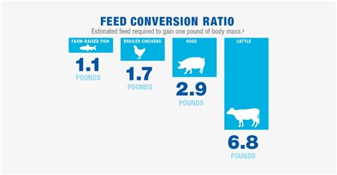 Food Conversion Ratio