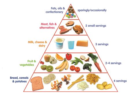 Food Pyramid Food Pyramid Science - Food Pyramid Science