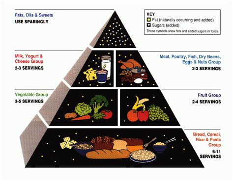 Food Pyramid Nutrition Wikipedia Food Pyramid Science - Food Pyramid Science