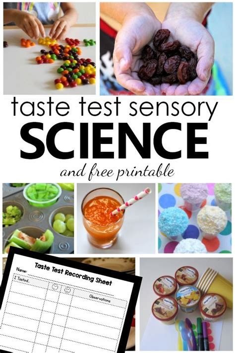 Food Science Experiments Sensory Evaluation Lab Science Food Experiments - Science Food Experiments
