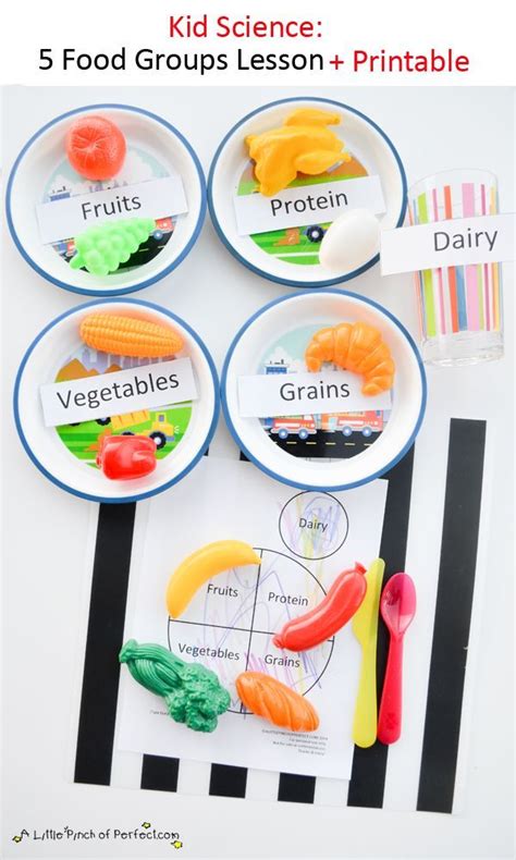 Food Science For Kids   Food Groups For Kids Science Sparks - Food Science For Kids