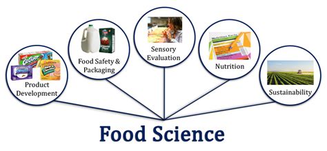 Food Scientist For A Day National Agriculture In Food Science Lessons - Food Science Lessons