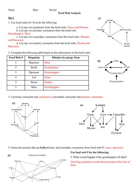 food web analysis answer key