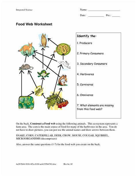 Food Web Worksheet High School Food Chain Lesson Plan 4th Grade - Food Chain Lesson Plan 4th Grade