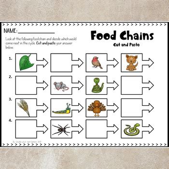 Read Food Chains Activities Learning Resources 