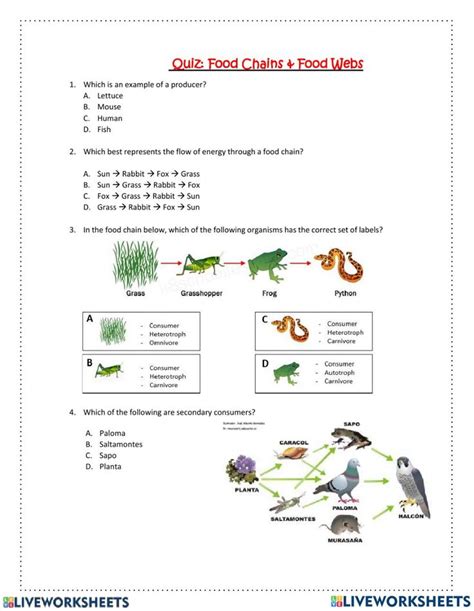 Read Online Food Web Quiz Document 5Th Grade 