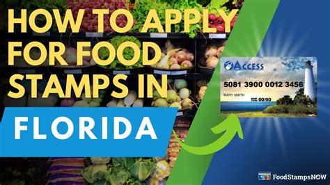 foodstamp application florida