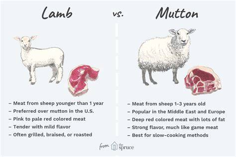 for lamb mutton beef and goat meat