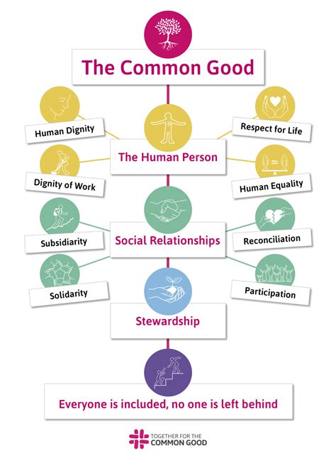 for the common good principles of american academ