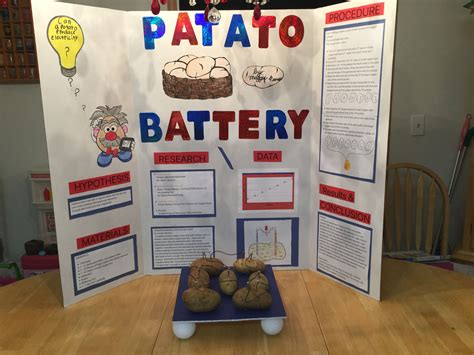 For The Science Fair Project Images Template