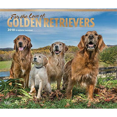 Download For The Love Of Golden Retrievers 2018 14 X 12 Inch Monthly Deluxe Wall Calendar With Foil Stamped Cover Animal Dog Breeds Multilingual Edition 