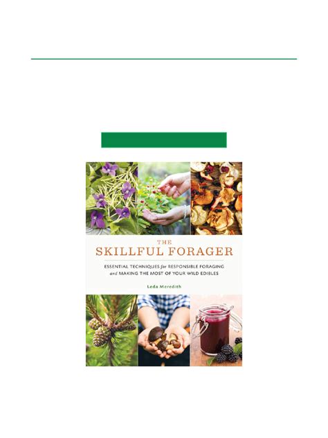 Foraging The Essential User Guide To Foraging Wild Edible Plants And Fungi Wilderness Survival Foraging Guide Wildcrafting