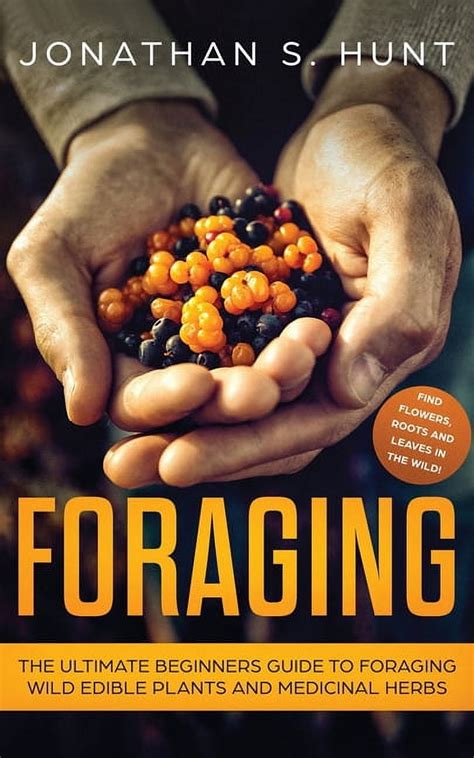 foraging the ultimate beginners guide for foragin