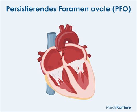 foramen ovale funktion
