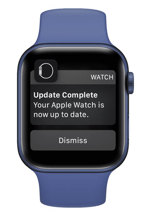 force apple watch update now
