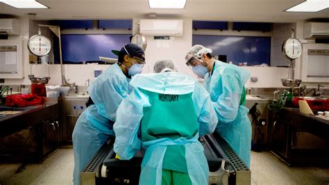 Forensic Pathology