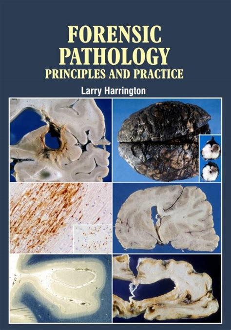 forensic pathology principles and practice