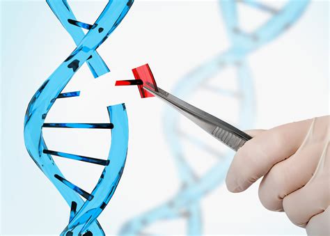 Download Forensic Application Of Genetic Engineering 